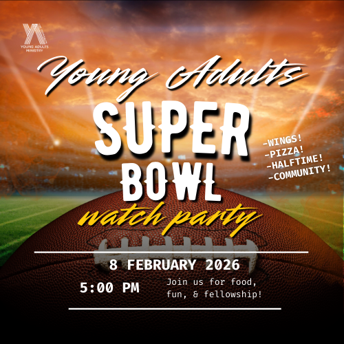 Super Bowl Graphic Website